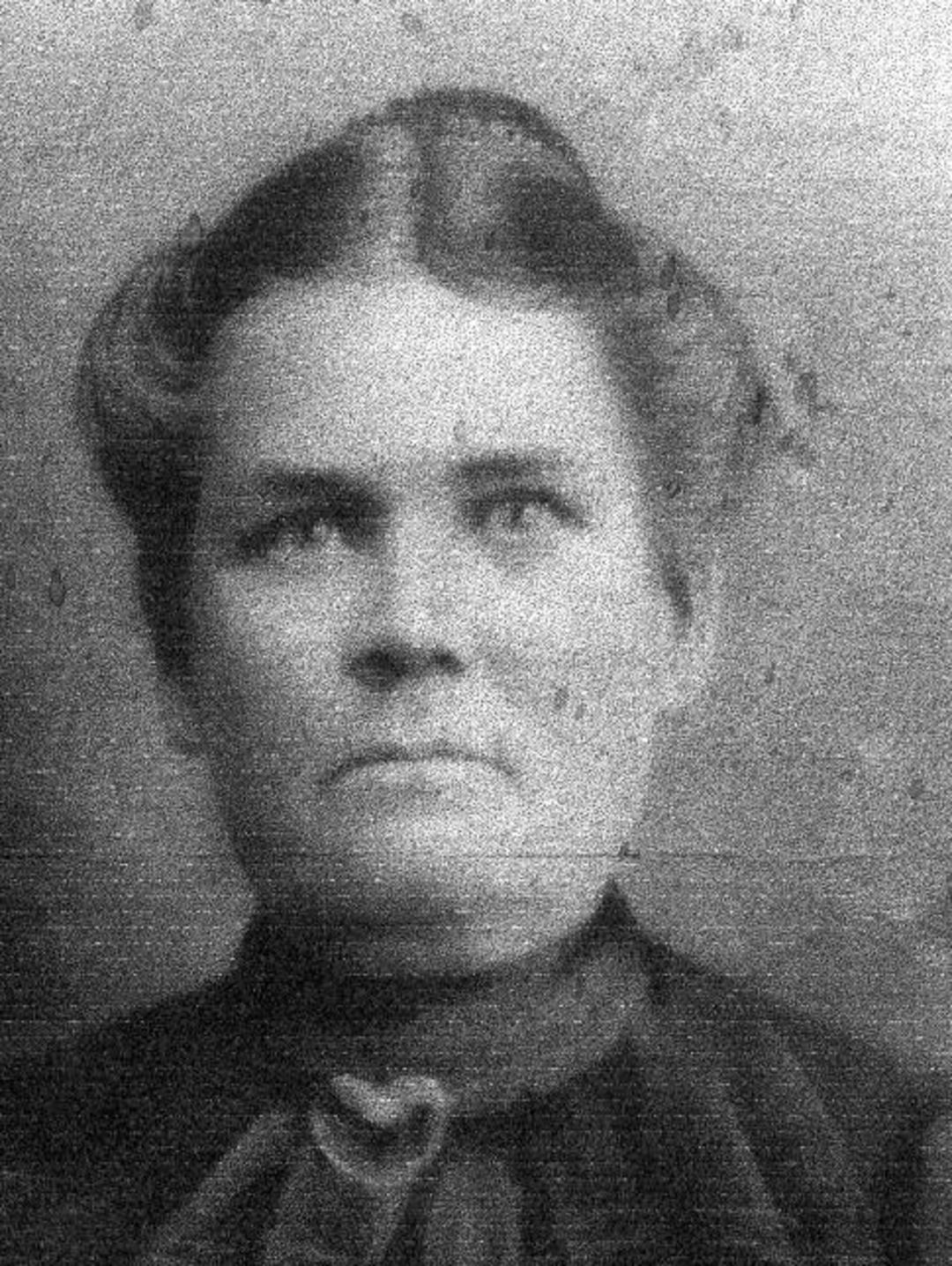 Mary Amanda Wilcox (1850 - 1921) Profile